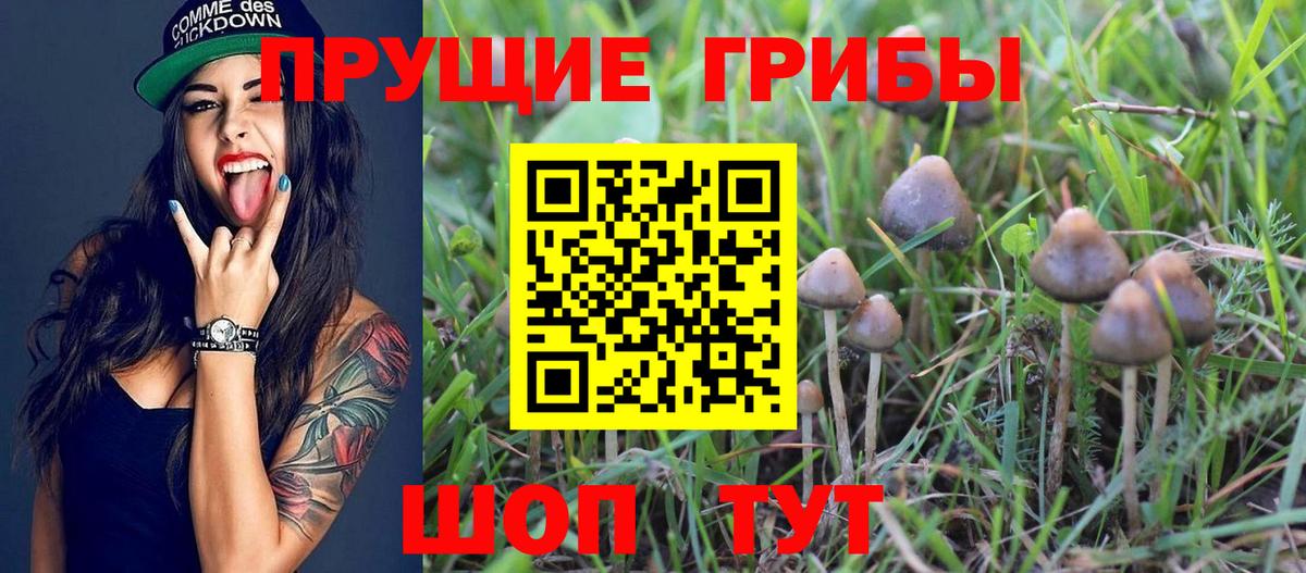 Псилоцибиновые грибы мухоморы Гай