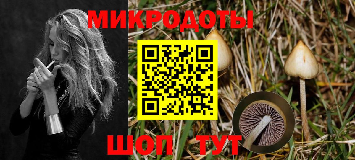 Псилоцибиновые грибы GOLDEN TEACHER  купить наркоту  Вход с VPN  Гай  Псилоцибиновые грибы Psilocybe 
